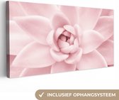 Canvas Schilderij Bloem - Roze - Natuur - Plant - 80x40 cm - Wanddecoratie