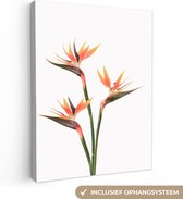 Canvas Schilderij Bloemen - Oranje - Natuur - Planten - 60x80 cm - Wanddecoratie