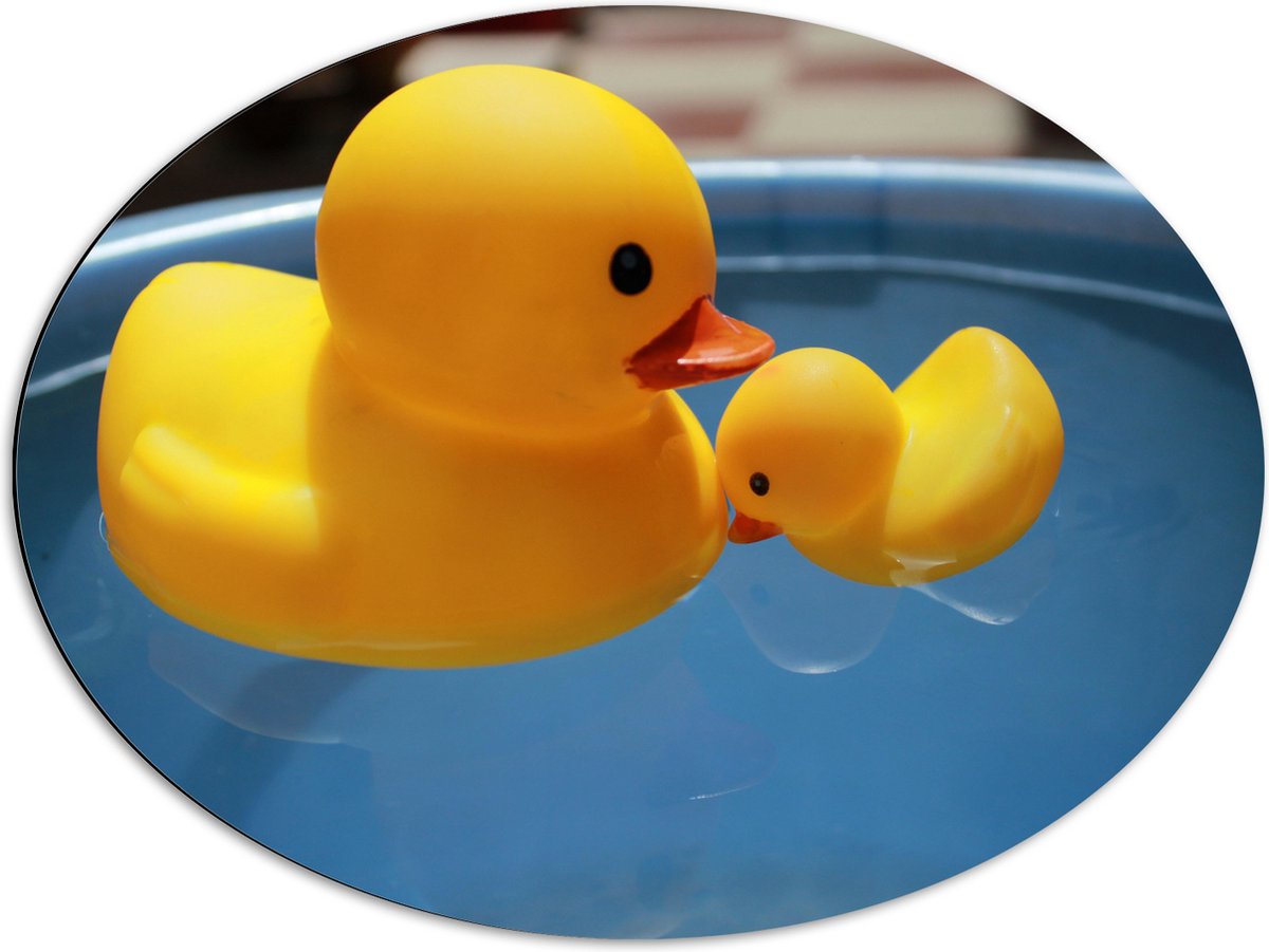 Dibond Ovaal - Moeder en Baby Badeenden in het Water - 80x60 cm Foto op Ovaal (Met Ophangsysteem)