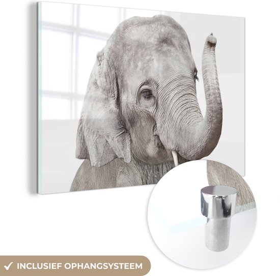 MuchoWow® Glasschilderij 150x100 cm - Schilderij acrylglas - Olifant - Dieren - Grijs - Natuur - Foto op glas - Schilderijen