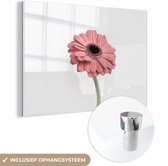 MuchoWow® Peinture sur verre 180x120 cm - Peinture sur verre acrylique - Fleurs - Rose - Nature - Wit - Plante - Photo sur verre - Peintures