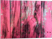 Acrylglas - Roze Geverfde Schutting - 80x60 cm Foto op Acrylglas (Met Ophangsysteem)