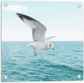 Tuinposter – Zeemeeuw Vliegend boven het Wateroppervlak - 50x50 cm Foto op Tuinposter (wanddecoratie voor buiten en binnen)