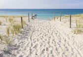 Fotobehang - Vlies Behang - Strandpad naar Zee - 208 x 146 cm