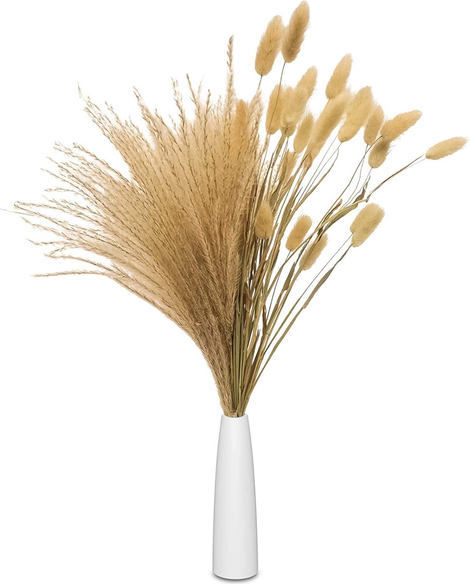 Décoration Maison Fleurs Séchées Bouquets Herbe Pampa Séchée - Lot De 96 Tiges Déco Bohème Lot Fleurs Séchées Rustique