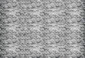 Fotobehang Gray Brick Wall | XXL - 312cm x 219cm | 130g/m2 Vlies