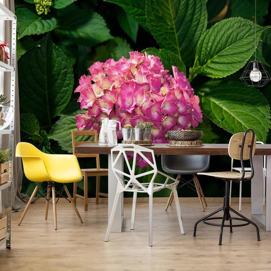 Papier peint photo Fleurs Hortensia Rose | XXXL - 416 cm x 254 cm | Polaire 130g / m2