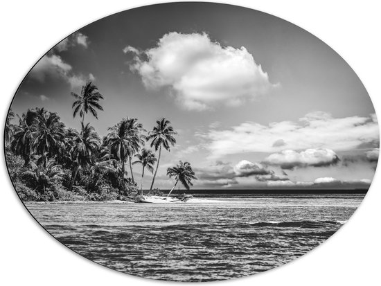 Dibond Ovaal - Rij Palmbomen langs Rustige Zee (Zwart- wit) - 80x60 cm Foto op Ovaal (Met Ophangsysteem)