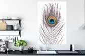 Poster Pauwenveren - Blauw - Veer - Pauw - Dieren - 80x120 cm