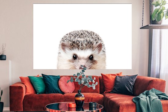 Affiche Hérisson - Animaux - Nature - Wit - 180x120 cm XXL