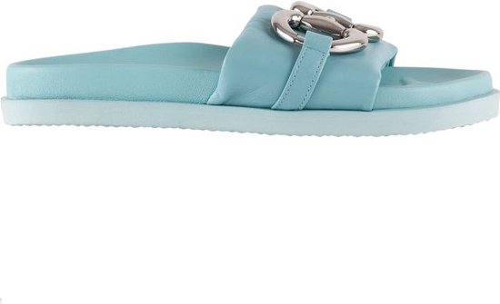 Högl Slingpumps 'MARIBEL' in Framboos | ABOUT YOU