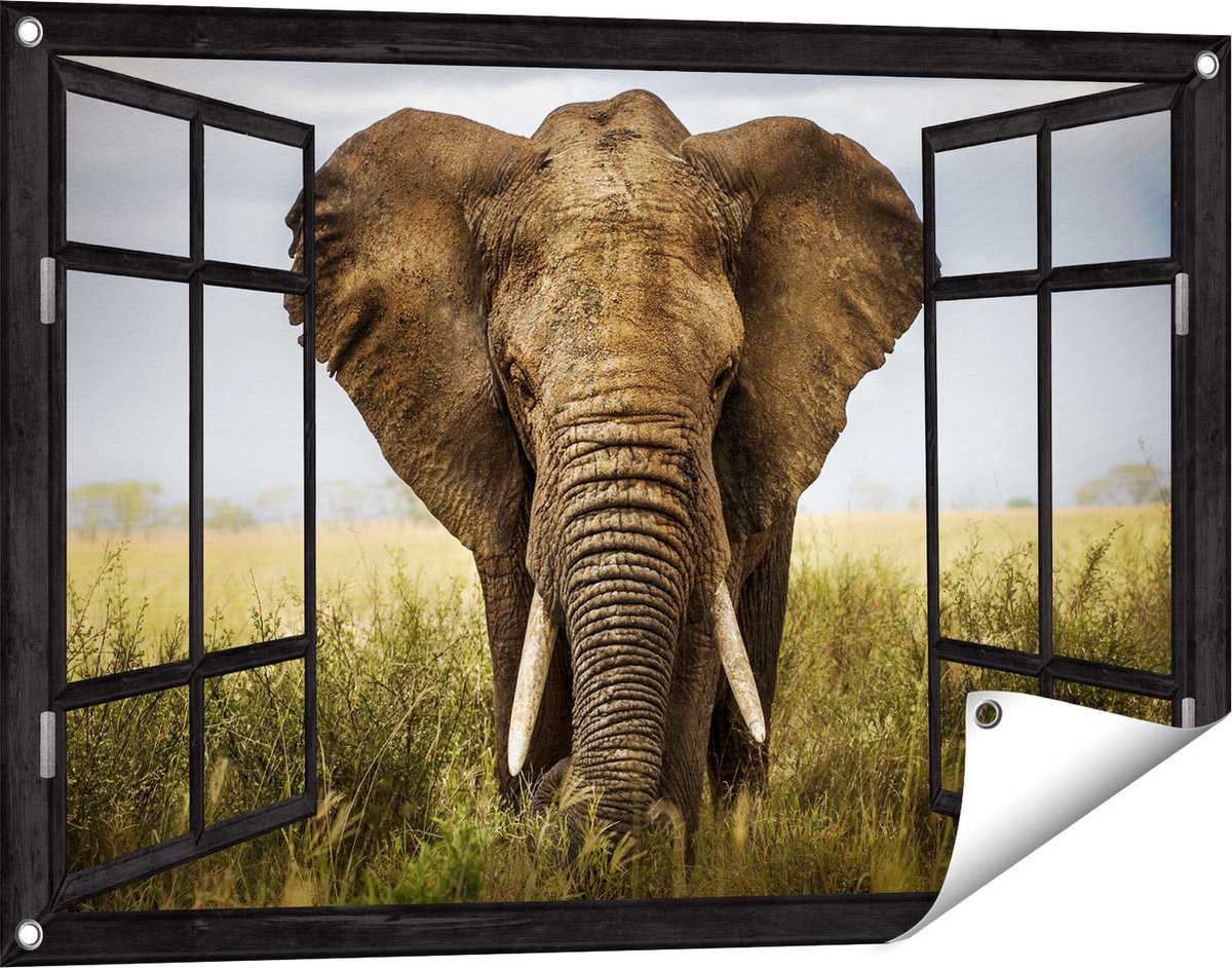 Gards Tuinposter Doorkijk Olifant in het Wild - Kleur - 90x60 cm - Tuindoek - Tuindecoratie - Wanddecoratie buiten - Tuinschilderij Zwart