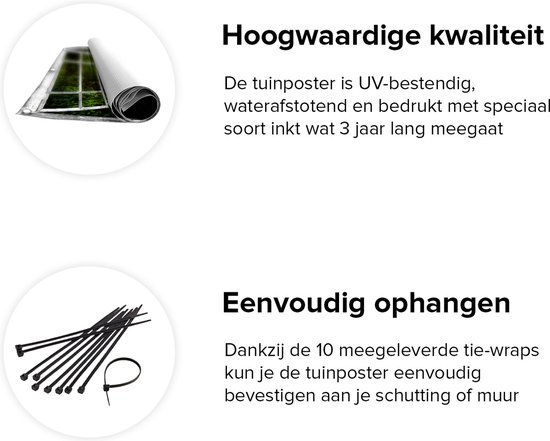 Gars Affiche de jardin Sentier transparent en forêt avec Plantes vertes - 120x80 cm - Toile jardin - Décoration de jardin - Décoration murale extérieur - Tableau jardin