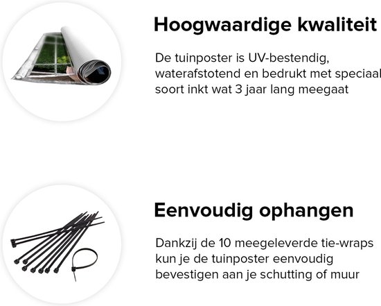 Gards Affiche de jardin Transparente Transparente avec Pots - 120x80 cm - Toile jardin - Décoration de jardin - Décoration murale extérieur - Tableau jardin