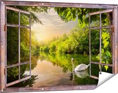 Gards Tuinposter Doorkijk Zwaan op het Water in het Bos - 120x80 cm - Tuindoek - Tuindecoratie - Wanddecoratie buiten - Tuinschilderij