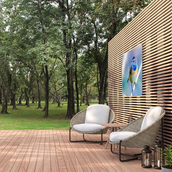 Gards Affiche de jardin Vogel Gorgebleue colorée sur une branche - 100x80 cm - Toile jardin - Décoration de jardin - Décoration murale extérieur - Tableau jardin