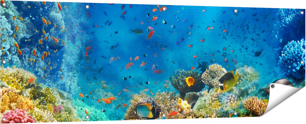 Gards Tuinposter Onderwater Vissen met Koraal in de Zee - 180x60 cm - Tuindoek - Tuindecoratie - Wanddecoratie buiten - Tuinschilderij Multikleur