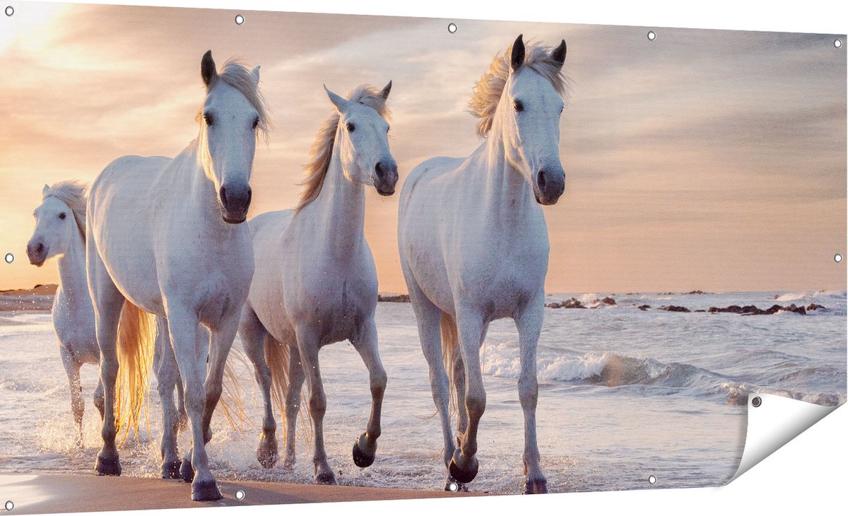 Gards Tuinposter Witte Paarden op het Strand bij Water - 180x90 cm - Tuindoek - Tuindecoratie - Wanddecoratie buiten - Tuinschilderij Multikleur