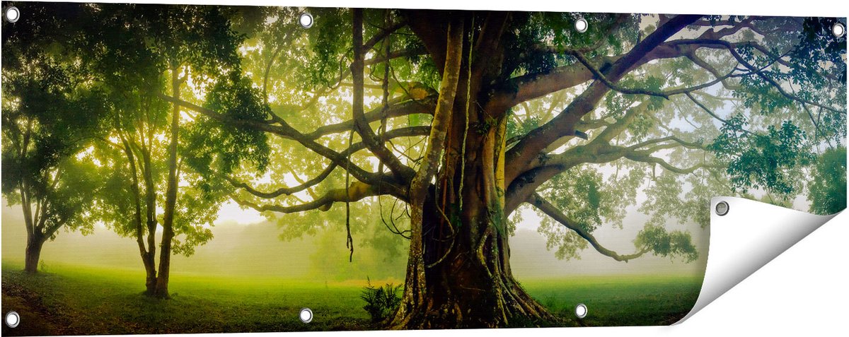 Gards Tuinposter Grote Levensboom met Veel Takken - 120x40 cm - Tuindoek - Tuindecoratie - Wanddecoratie buiten - Tuinschilderij Multikleur