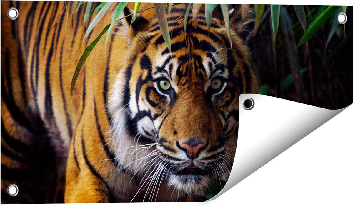 Gards Tuinposter Tijger in de Jungle - 60x30 cm - Tuindoek - Tuindecoratie - Wanddecoratie buiten - Tuinschilderij Multikleur