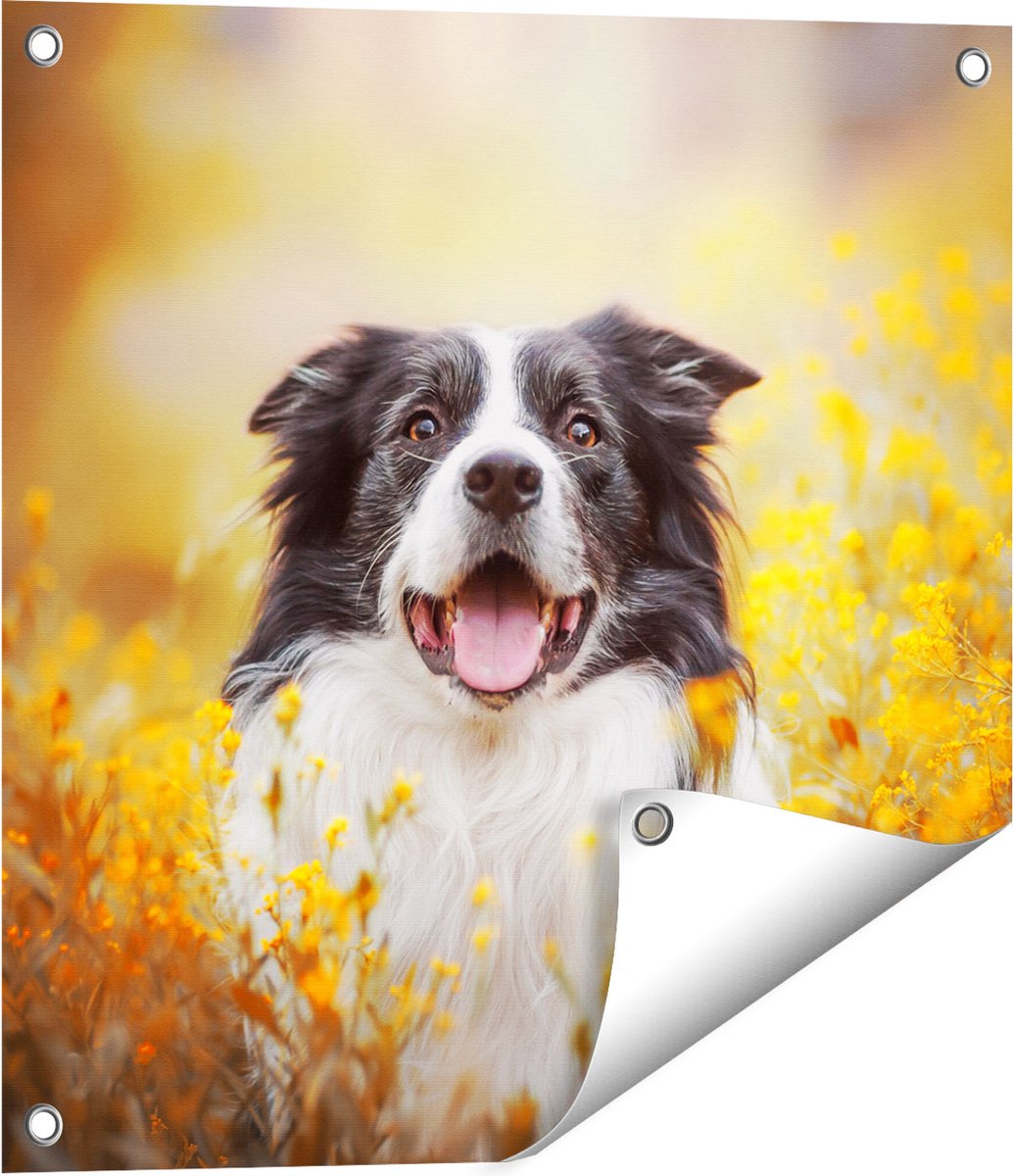 Gards Tuinposter Blije Hond tussen de Bloemen - 50x50 cm - Tuindoek - Tuindecoratie - Wanddecoratie buiten - Tuinschilderij Multikleur