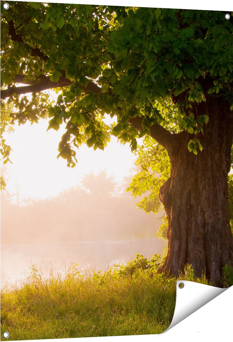 Gards Tuinposter Eikenboom aan het Water met Volle Bladeren - 80x100 cm - Tuindoek - Tuindecoratie - Wanddecoratie buiten - Tuinschilderij Multikleur
