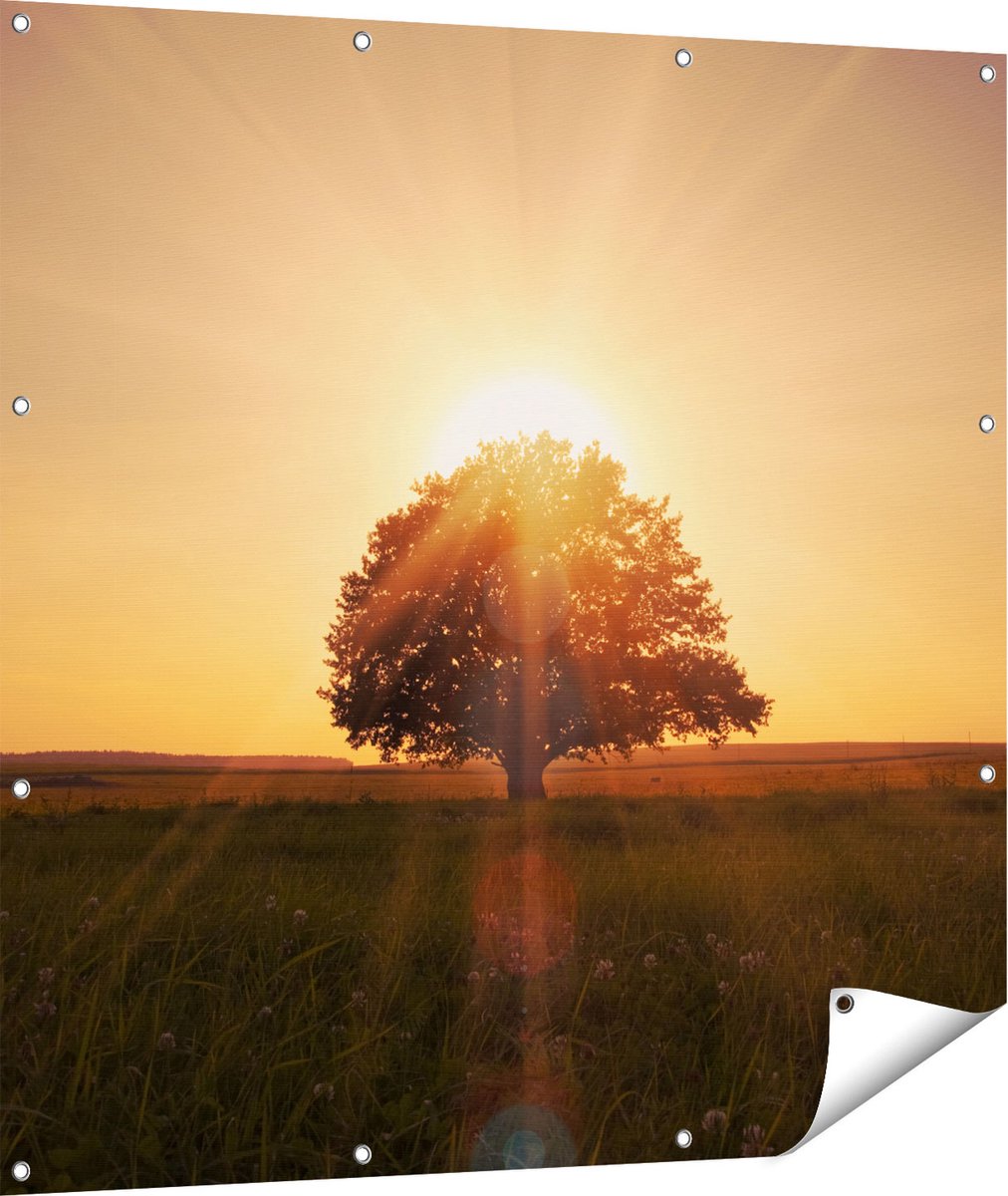 Gards Tuinposter Zonsondergang Achter een Grote Boom - 110x110 cm - Tuindoek - Tuindecoratie - Wanddecoratie buiten - Tuinschilderij Multikleur