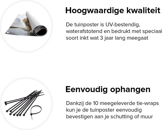 Gards Tuinposter Twee Aapjes in de Sneeuw op Rotsen - 40x60 cm - Tuindoek - Tuindecoratie - Wanddecoratie buiten - Tuinschilderij