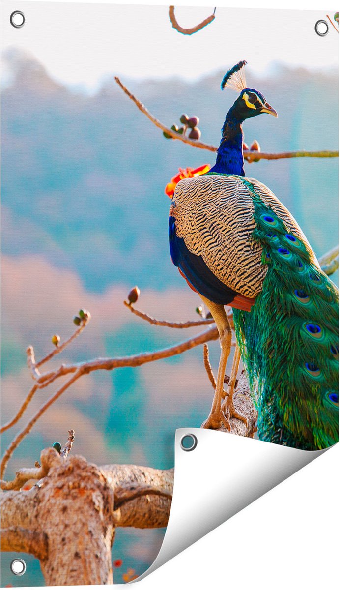 Gards Tuinposter Pauw in de Bomen - 40x60 cm - Tuindoek - Tuindecoratie - Wanddecoratie buiten - Tuinschilderij Multikleur