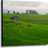 Canvas - Boer Werkend op de Rijstvelden in Indonesië - 100x100 cm Foto op Canvas Schilderij (Wanddecoratie op Canvas)