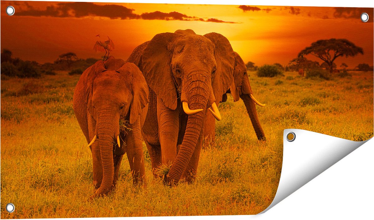 Gards Tuinposter Olifanten in het Wild - Zonsondergang - 80x40 cm - Tuindoek - Tuindecoratie - Wanddecoratie buiten - Tuinschilderij Multikleur