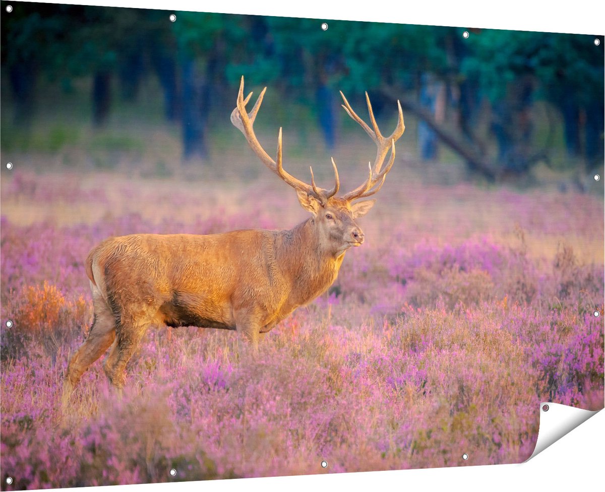 Gards Tuinposter Hert in de Weide tijdens Zonsondergang - 180x120 cm - Tuindoek - Tuindecoratie - Wanddecoratie buiten - Tuinschilderij Multikleur