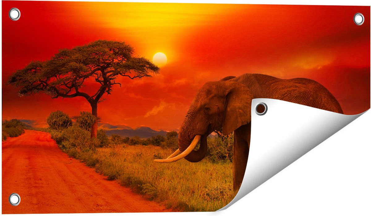 Gards Tuinposter Olifant in het Wild tijdens Zonsondergang - 60x30 cm - Tuindoek - Tuindecoratie - Wanddecoratie buiten - Tuinschilderij Multikleur