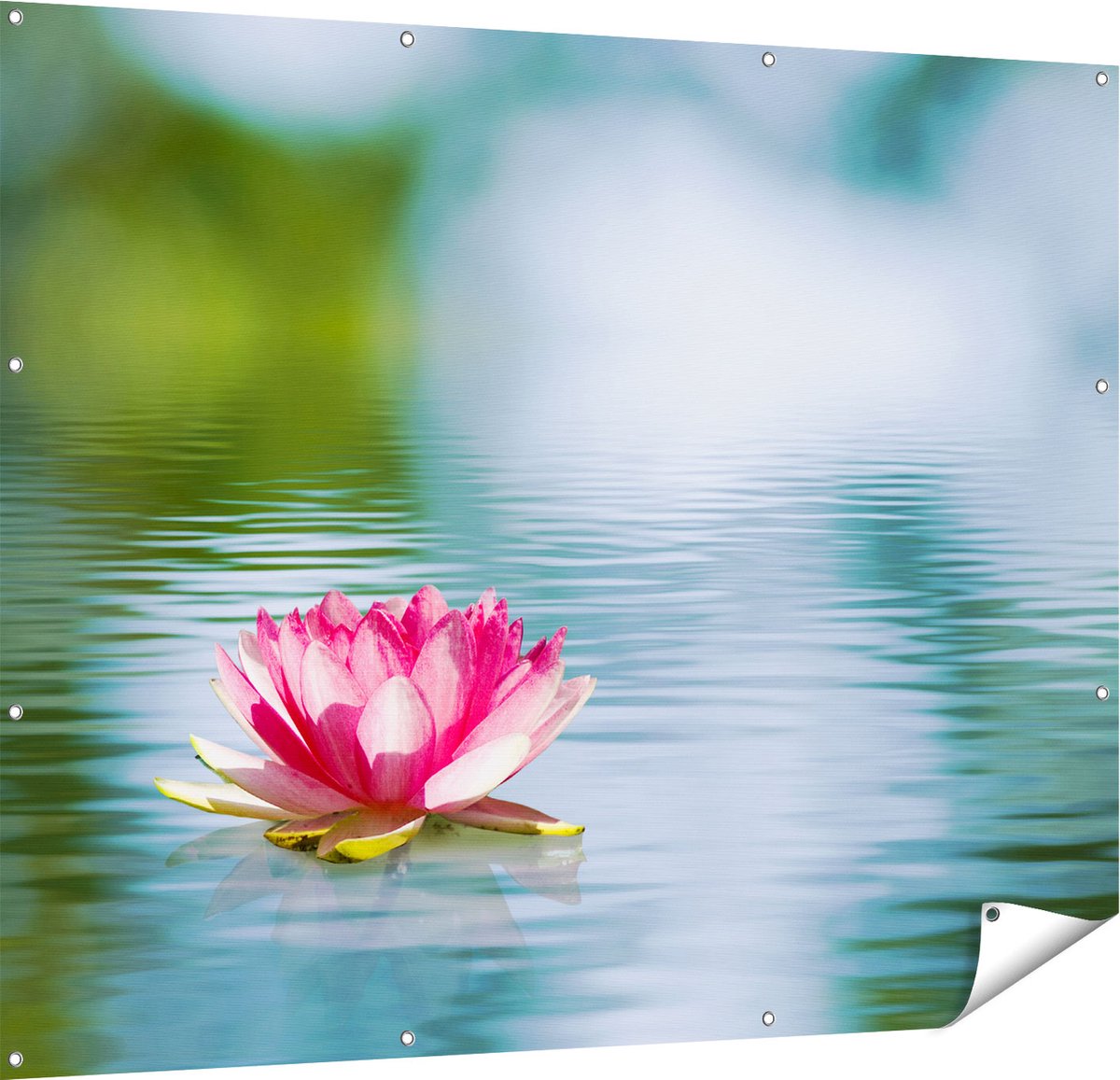 Gards Tuinposter Roze Lotusbloem op het Water - 150x120 cm - Tuindoek - Tuindecoratie - Wanddecoratie buiten - Tuinschilderij Multikleur