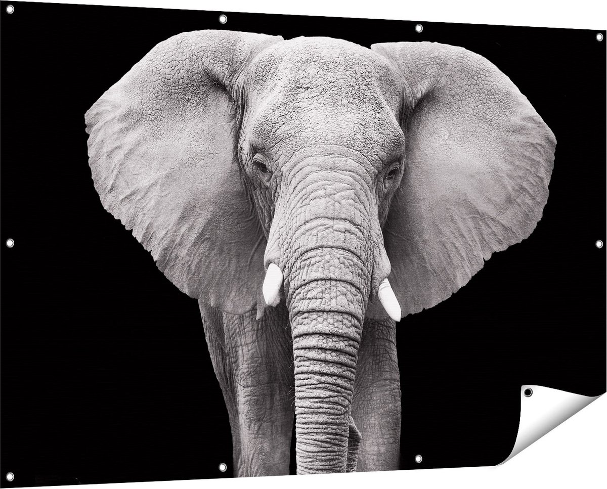 Gards Tuinposter Olifant - Zwart Wit - 150x100 cm - Tuindoek - Tuindecoratie - Wanddecoratie buiten - Tuinschilderij Multikleur