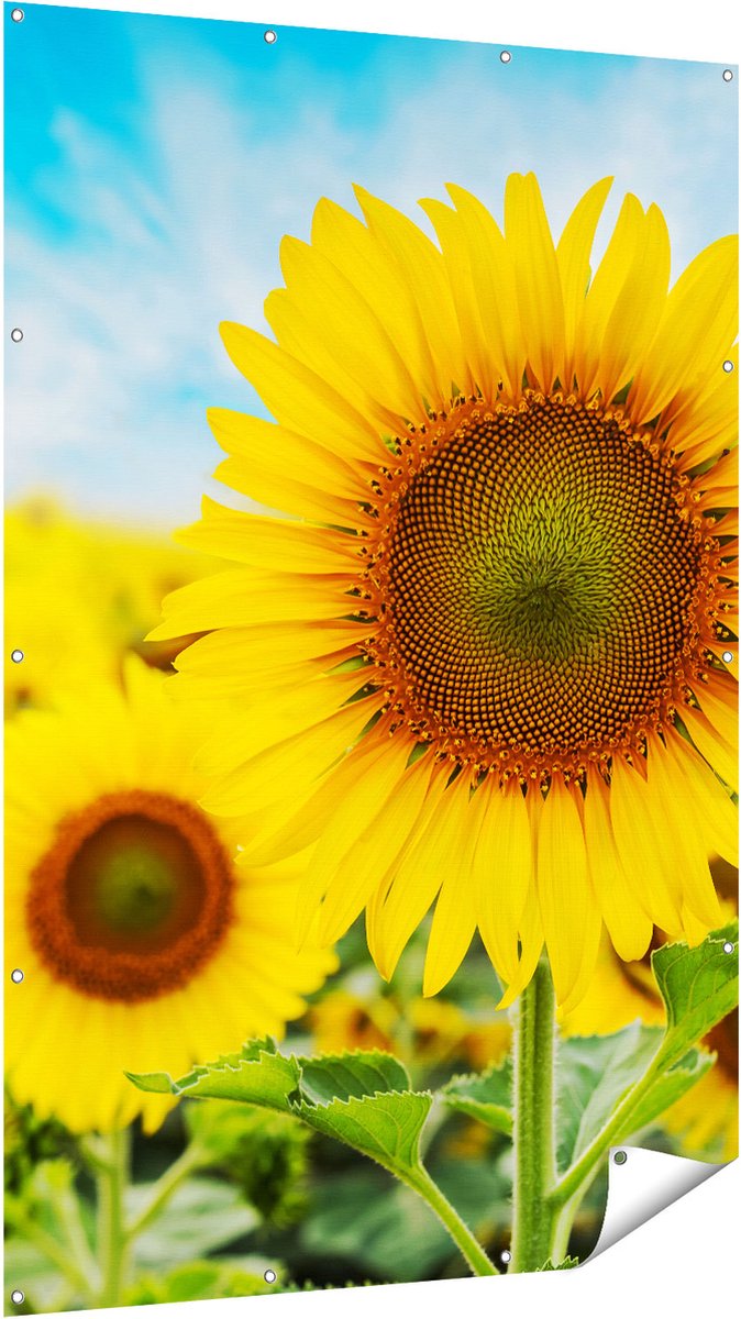 Gards Tuinposter Zonnebloemen Veld - 120x180 cm - Tuindoek - Tuindecoratie - Wanddecoratie buiten - Tuinschilderij Multikleur
