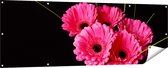 Gards Tuinposter Roze Gerbera Bloemen - 180x60 cm - Tuindoek - Tuindecoratie - Wanddecoratie buiten - Tuinschilderij