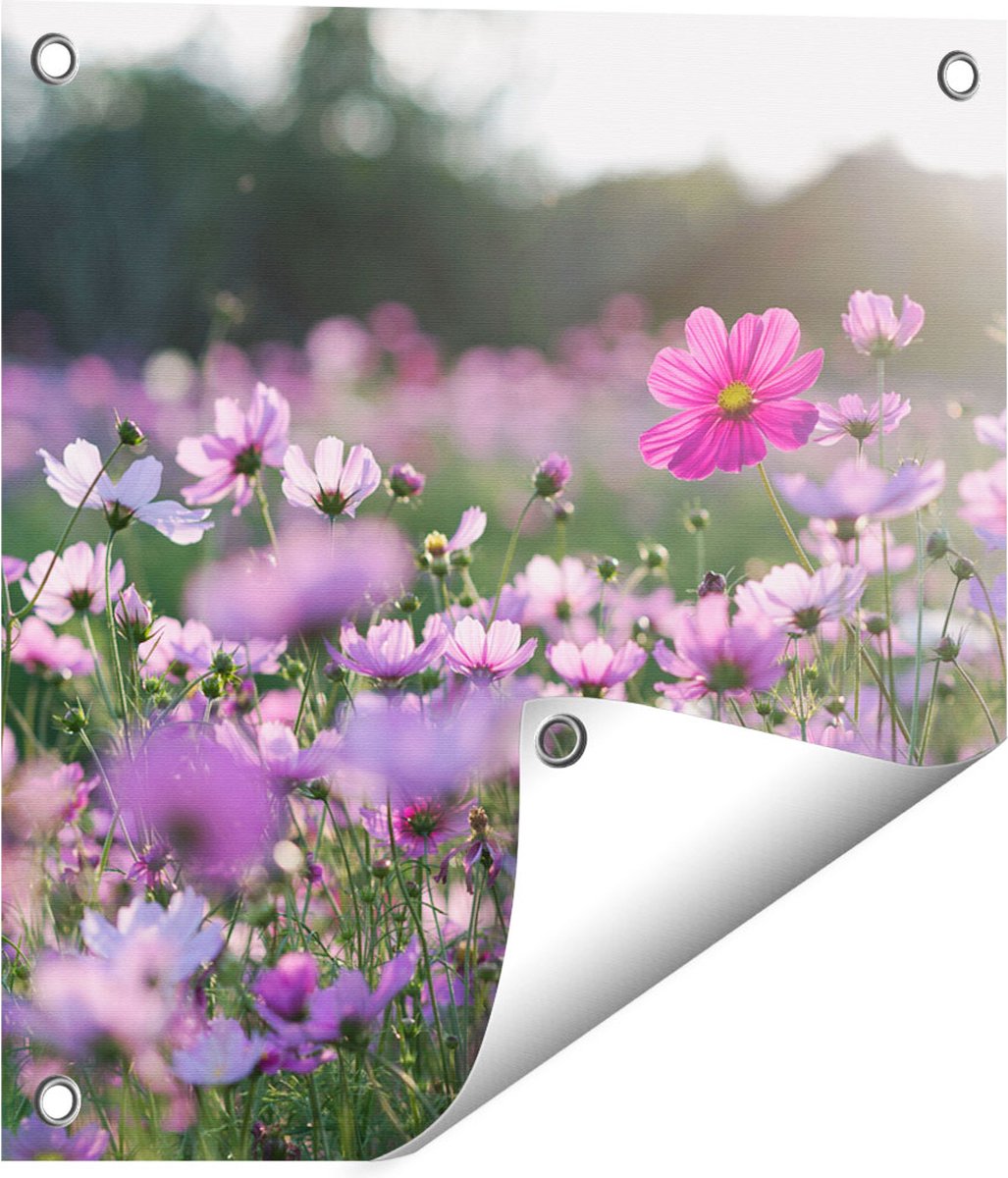 Gards Tuinposter Bloemenveld met Paarse Kosmos - 40x40 cm - Tuindoek - Tuindecoratie - Wanddecoratie buiten - Tuinschilderij Multikleur