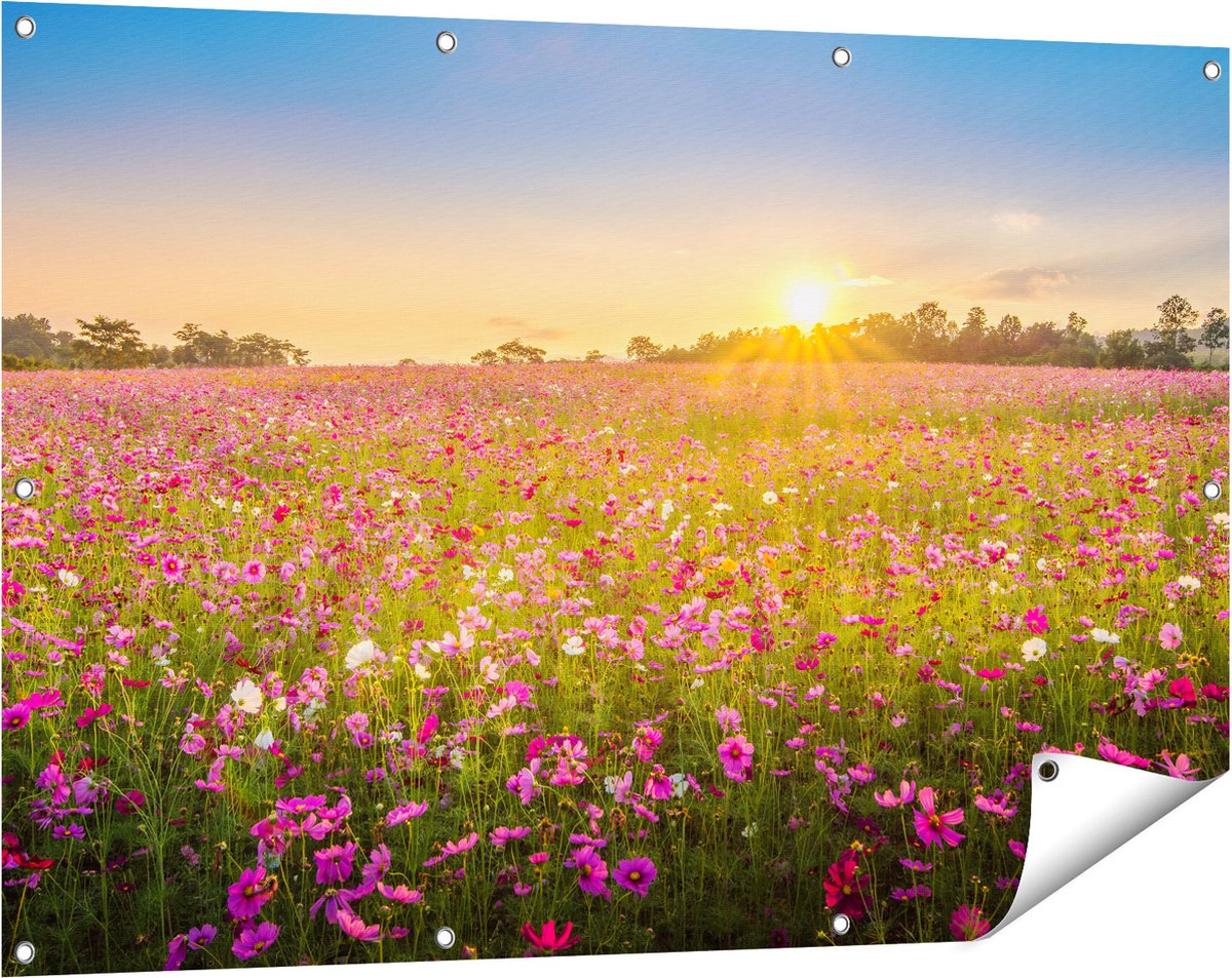 Gards Tuinposter Bloemenveld met Roze Kosmos - 120x80 cm - Tuindoek - Tuindecoratie - Wanddecoratie buiten - Tuinschilderij Multikleur