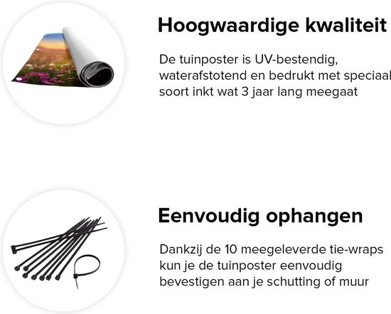 Gards Affiche de jardin Champ de fleurs avec Kosmos rose - 100x150 cm - Toile jardin - Décoration de jardin - Décoration murale extérieur - Tableau jardin