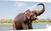 Gards Tuinposter Vrolijke Olifant in het Water - 200x100 cm - Tuindoek - Tuindecoratie - Wanddecoratie buiten - Tuinschilderij