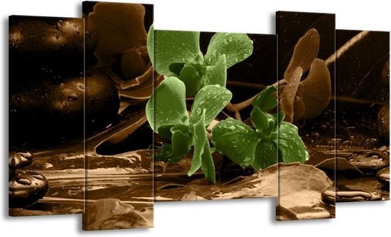Peinture sur toile Orchidée | Vert, marron | 120x65 5 Liège