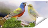 Gards Tuinposter Getekende Gorzen Vogels - Kleur - Abstract - 80x40 cm - Tuindoek - Tuindecoratie - Wanddecoratie buiten - Tuinschilderij
