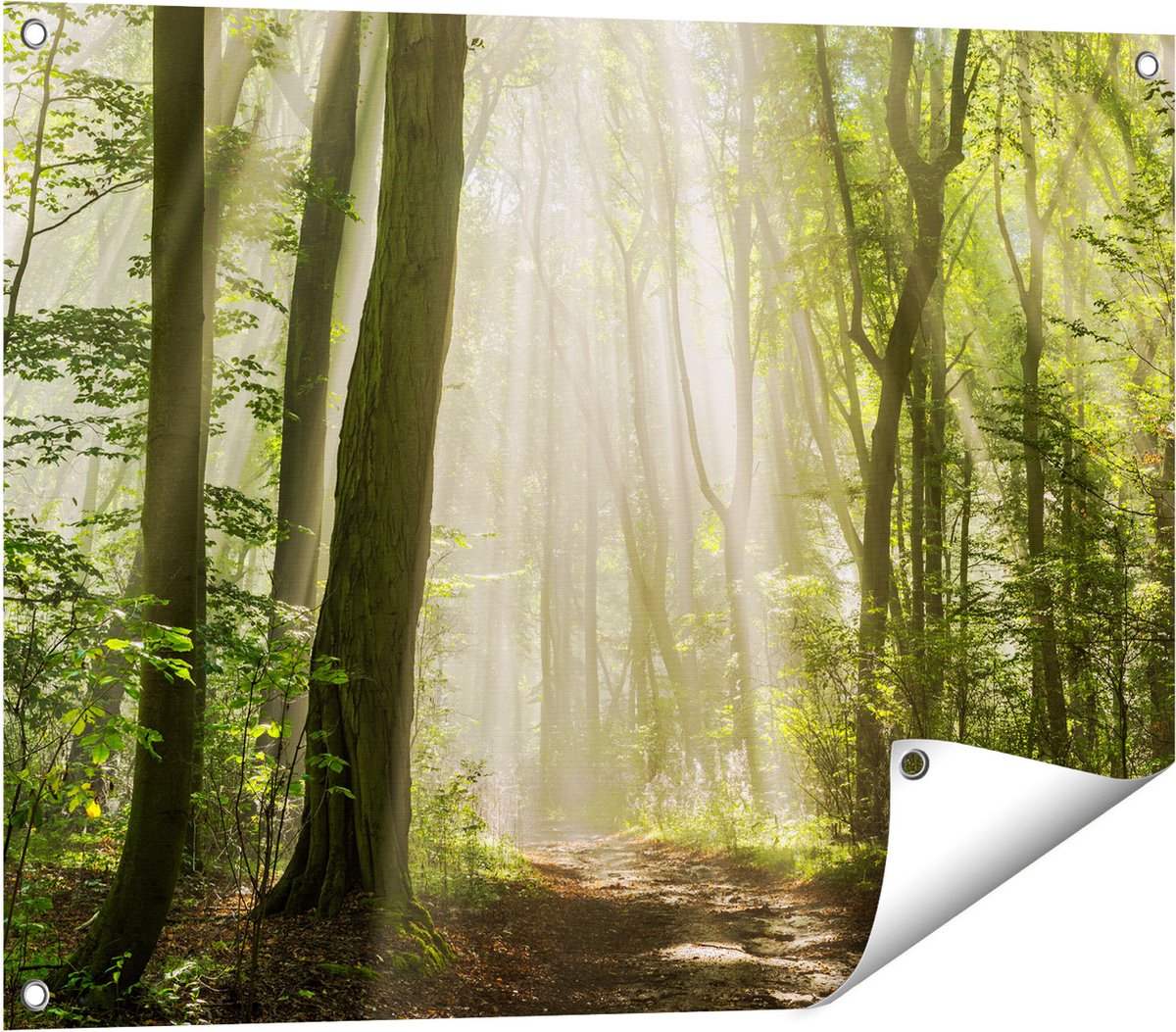 Gards Tuinposter Bos met Bomen en Zonneschijn - 80x60 cm - Tuindoek - Tuindecoratie - Wanddecoratie buiten - Tuinschilderij Multikleur