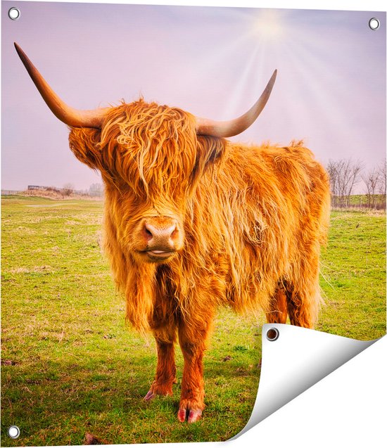 Gards Tuinposter Doorkijk Schotse Hooglander Koe Op De Weg - 180x120 Cm Tuindoek Tuindecoratie Wanddecoratie Buiten Tuinschilderij
