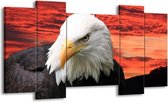 GroepArt - Schilderij - Vogel - Wit, Rood, Zwart - 120x65 5Luik - Foto Op Canvas - GroepArt 6000+ Schilderijen 0p Canvas Art Collectie - Wanddecoratie