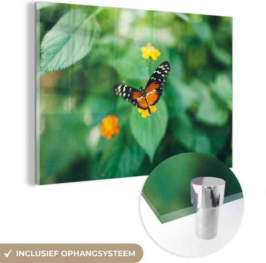 MuchoWow® Glasschilderij 30x20 cm - Schilderij acrylglas - Vlinder op bloem - Foto op glas - Schilderijen