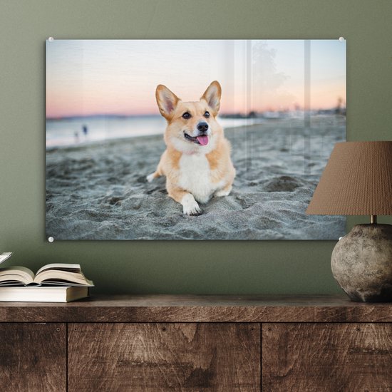 Chien sur la plage en Glas 60x40 cm - Tirage photo sur Glas (décoration murale en plexiglas)