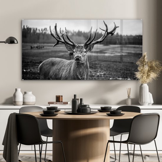 Tableau sur verre - Photo sur verre - Animaux - Cerf - Bois - Forêt - Nature - 120x60 cm - Verre acrylique - Décoration murale verre - Tableau sur verre cerf - Tableau sur verre animaux - Décoration d'intérieur