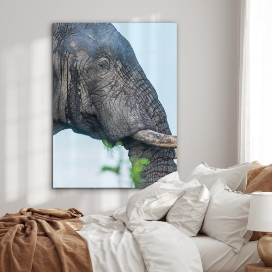 MuchoWow® Peinture sur verre 90x120 cm - Peinture sur verre acrylique - Éléphant - Animaux - Grijs - Nature - Photo sur verre - Peintures